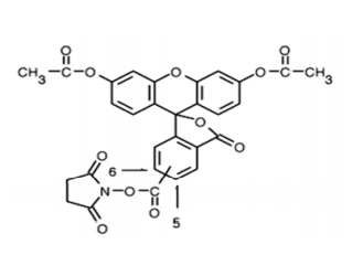 5(6)-CFDA, SE